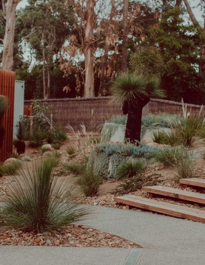 Photo of natural landscaping with Australian native plants and timber steps