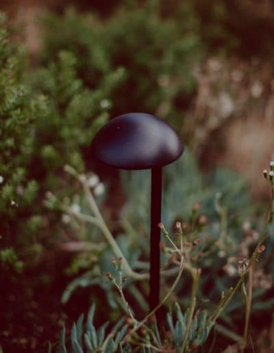 Closeup photo of black garden light