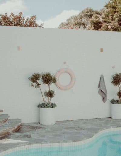 Photo of pool area with crazy paving and olive trees in pots