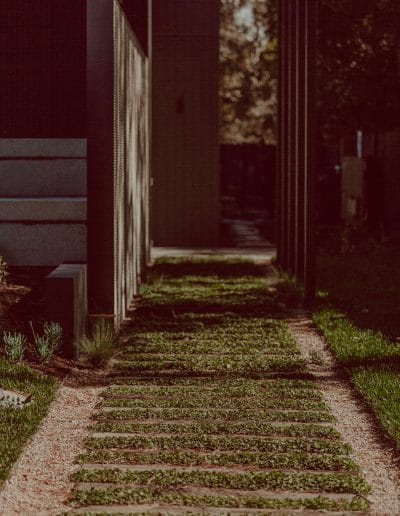 Photo of grass pathway in low light