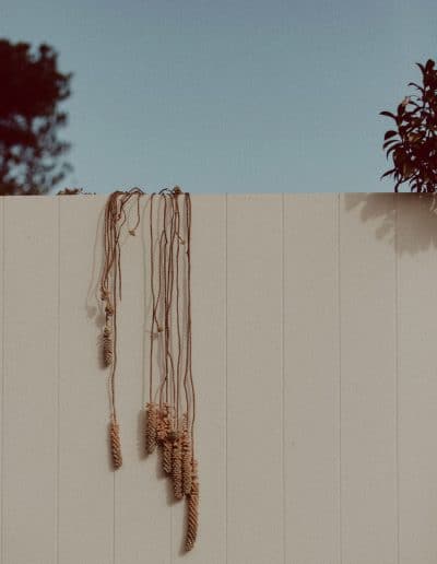 Photo of plants hanging over white panelled wall