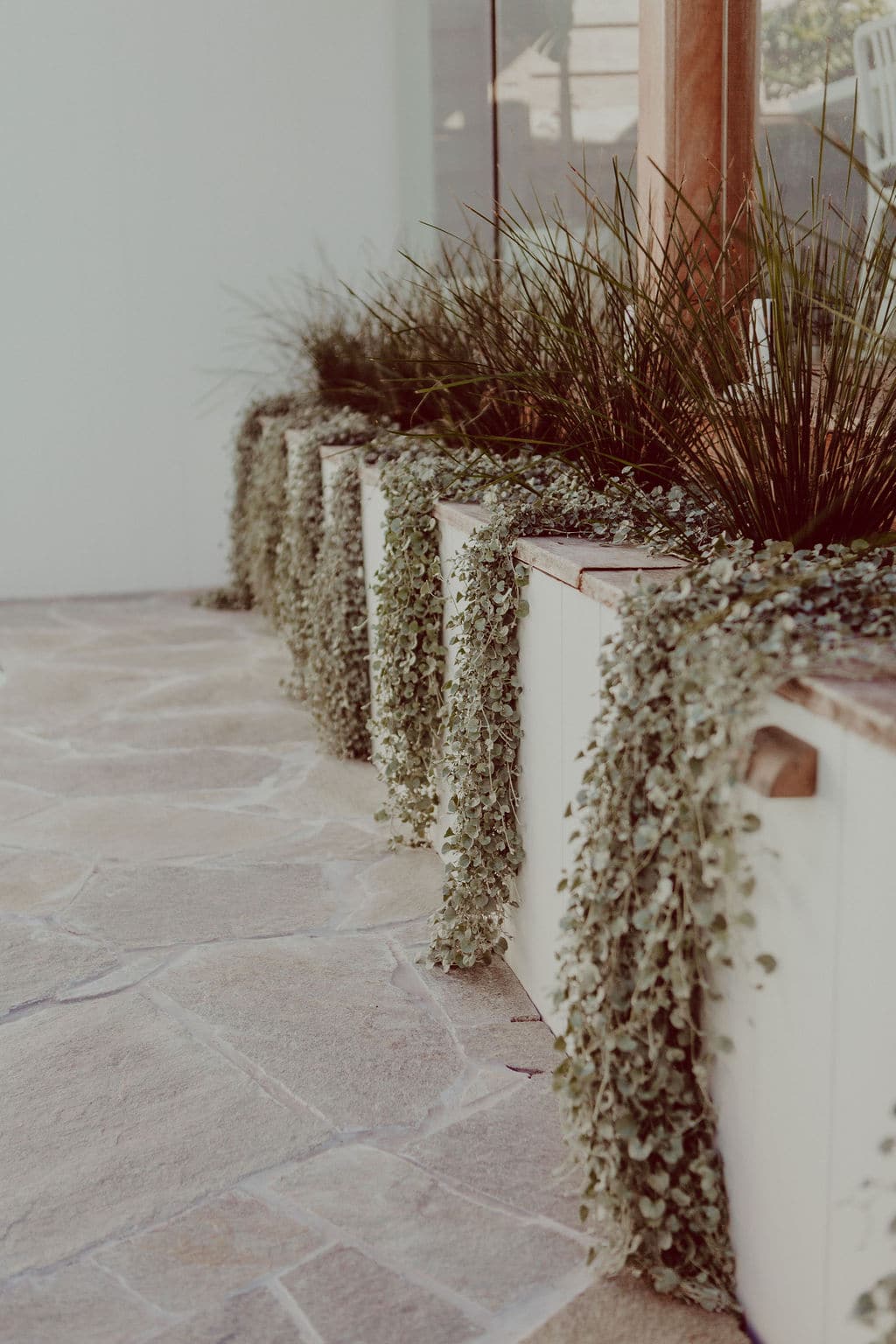 Photo of retaining wall with cascading creeper plant and crazy paving